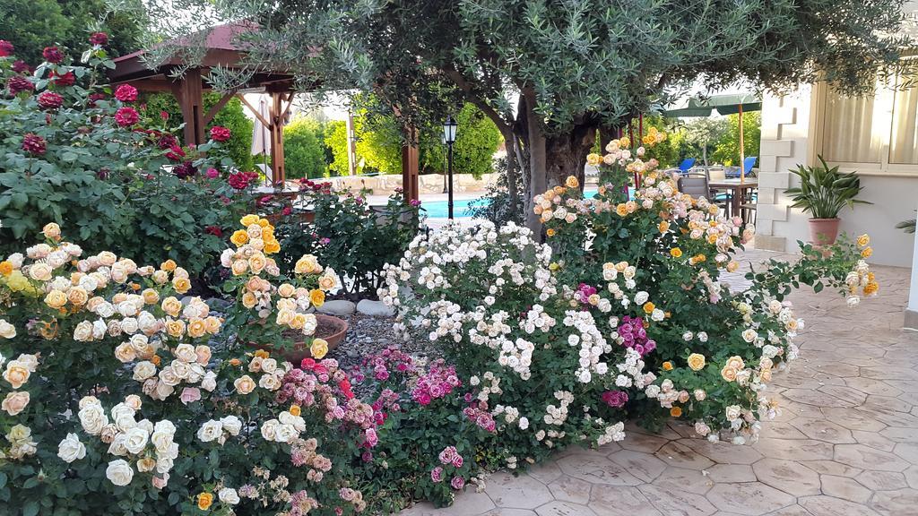 Jaime Villa Cyprus Аргака Экстерьер фото